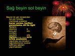 Sag beyin sol beyin