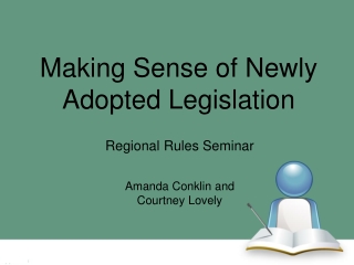 Making Sense of Newly Adopted Legislation