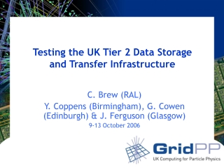 Testing the UK Tier 2 Data Storage and Transfer Infrastructure