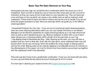 Basic Tips Pet Stain Removal on Your Rug