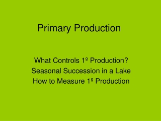 Primary Production