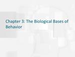 Chapter 3: The Biological Bases of Behavior