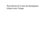 Pour d couvrir le nom du champignon cliquez sous l image