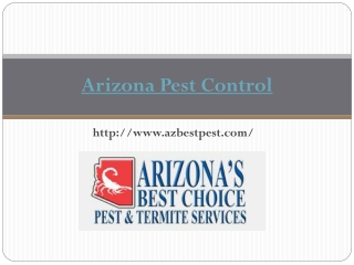 Arizona's Best Choice Pest & Termite Services
