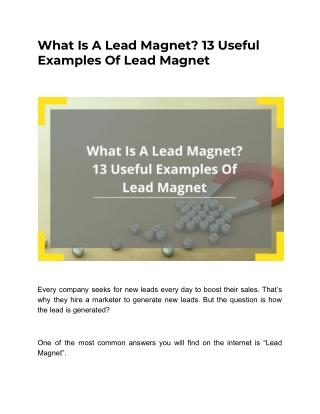 What Is A Lead Magnet? 13 Useful Examples Of Lead Magnet