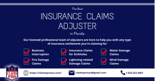 The Best Insurance Claims Adjuster in Florida