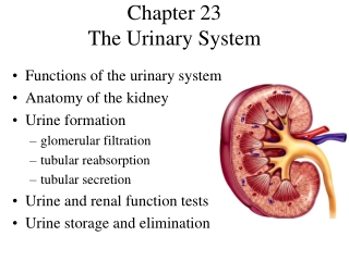 urinary