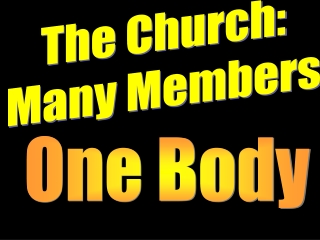 The Church: Many Members