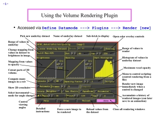 Using the Volume Rendering Plugin