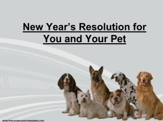 New Year’s Resolution for You and Your Pet