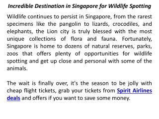 Incredible Destination in Singapore For Wildlife Spotting