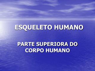 ESQUELETO HUMANO