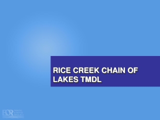 RICE CREEK CHAIN OF LAKES TMDL