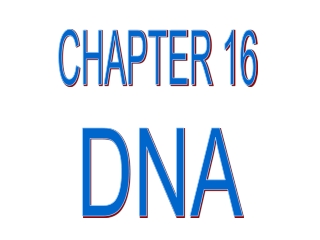 CHAPTER 16