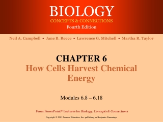 CHAPTER 6 How Cells Harvest Chemical Energy