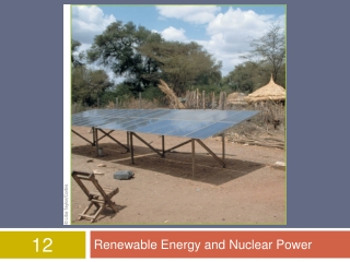 Renewable Energy and Nuclear Power