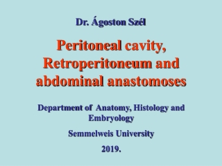 Peritoneal cavity ,  Retroperitoneum  and  abdominal anastomoses