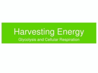 Harvesting Energy