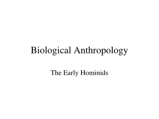 Biological Anthropology