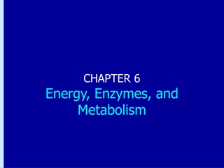 CHAPTER 6 Energy, Enzymes, and Metabolism