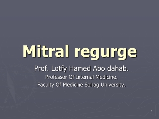 Mitral regurge