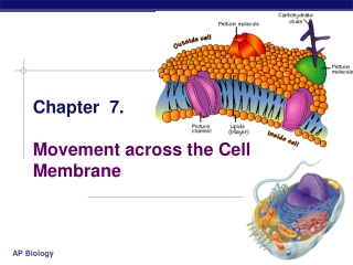 Chapter  7. Movement across the Cell Membrane