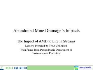 Abandoned Mine Drainage’s Impacts