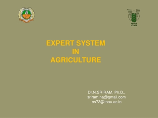 EXPERT SYSTEM  IN  AGRICULTURE