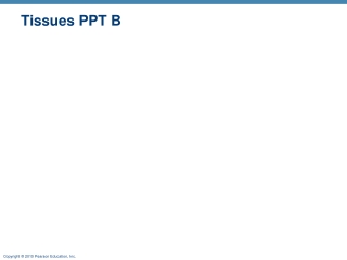 Tissues PPT B