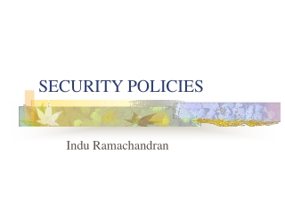 SECURITY POLICIES