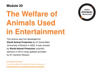 The Welfare of  Animals Used  in Entertainment