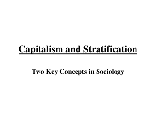 Capitalism and Stratification