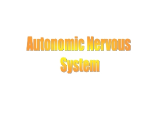 Autonomic Nervous  System