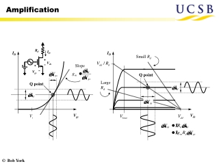 Amplification