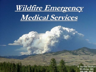 Wildfire Emergency Medical Services