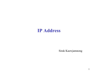 IP Address