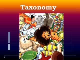 Taxonomy