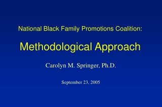 National Black Family Promotions Coalition:  Methodological Approach