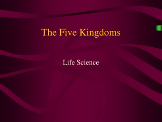 The Five Kingdoms