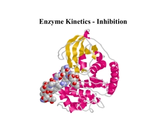 Enzyme Kinetics - Inhibition