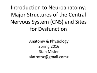 Anatomy &amp; Physiology Spring 2016 Stan Misler &lt;latrotox@gmail&gt;