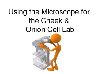 Using the Microscope for the Cheek &amp;  Onion Cell Lab