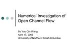 Numerical Investigation of Open Channel Flow