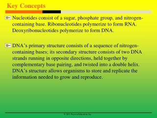 Key Concepts