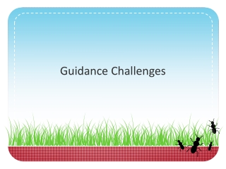 Guidance Challenges