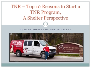 TNR – Top 10 Reasons to Start a TNR Program,  A Shelter Perspective