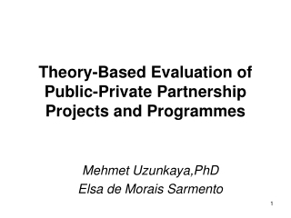 Theory-Based Evaluation of Public-Private Partnership Projects and Programmes