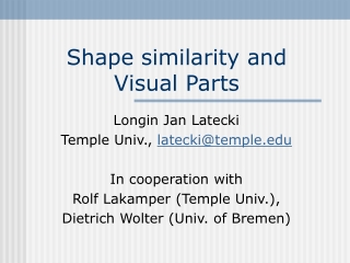 Shape similarity and Visual Parts