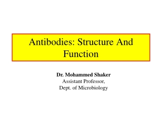 Antibodies: Structure And Function