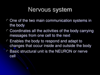 Nervous system